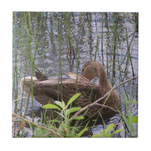Closeup photo of a duck ceramic tile