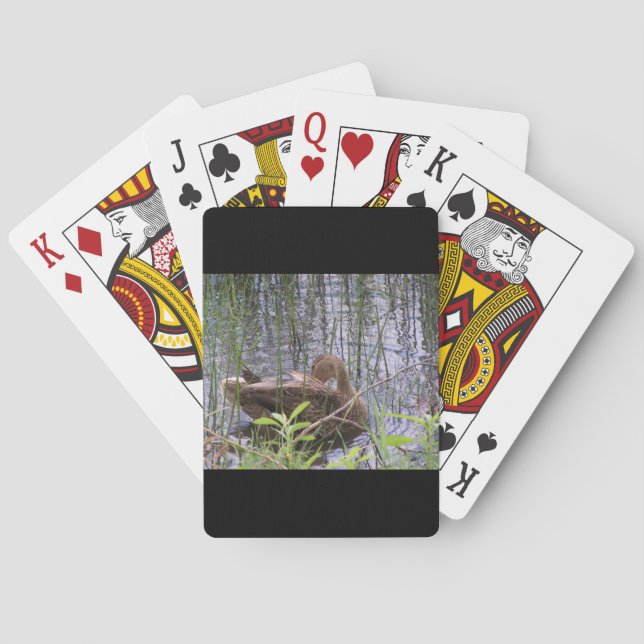 Closeup photo of a duck playing cards (Back)