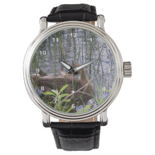 Closeup photo of a duck watch