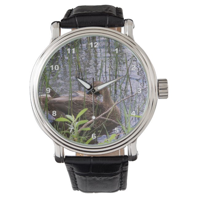 Closeup photo of a duck watch (Front)
