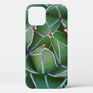 Closeup photo of green and white plant iPhone 12 case