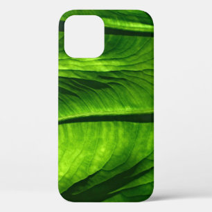 Closeup photo of green leaf iPhone 12 case