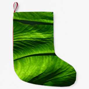 Closeup photo of green leaf small christmas stocking