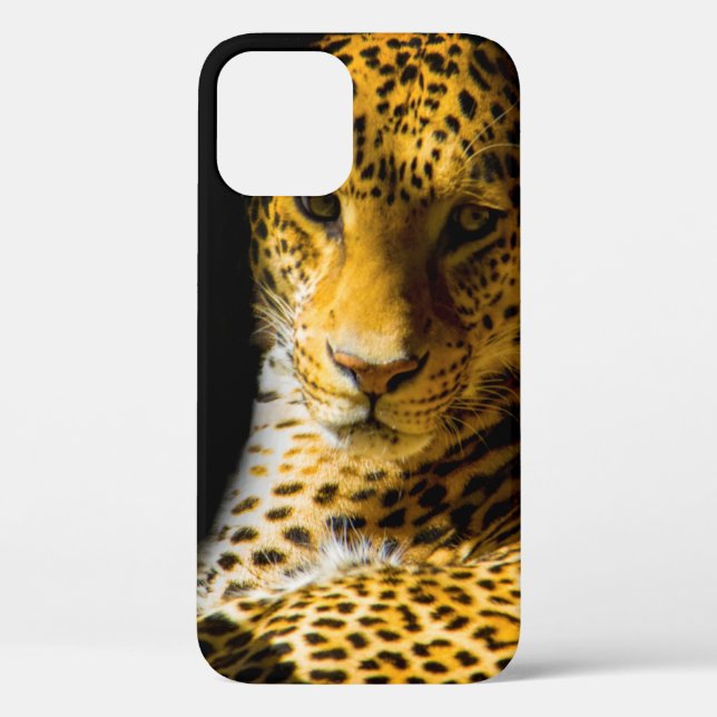 CLOSEUP PHOTO OF LEOPARD Case-Mate iPhone CASE (Back)