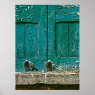 CLOSEUP PHOTO OF TWO GRAY PIGEONS ON GRAY CONCRETE POSTER