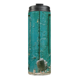 CLOSEUP PHOTO OF TWO GRAY PIGEONS ON GRAY CONCRETE THERMAL TUMBLER