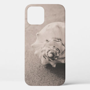 Closeup photo of white seashell on sand iPhone 12 case