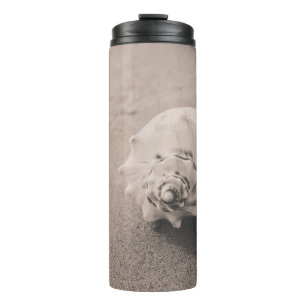 Closeup photo of white seashell on sand thermal tumbler