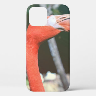 Closeup photography of red long-neck bird iPhone 12 case
