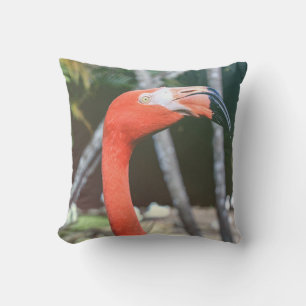 Closeup photography of red long-neck bird cushion