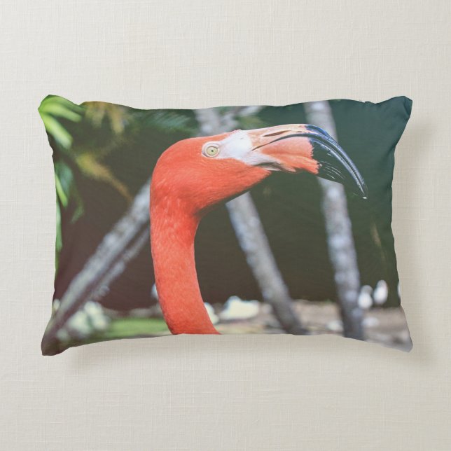 Closeup photography of red long-neck bird decorative cushion (Front)