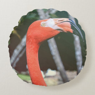 Closeup photography of red long-neck bird round cushion