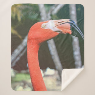 Closeup photography of red long-neck bird sherpa blanket
