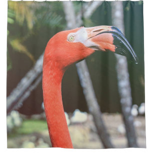 Closeup photography of red long-neck bird shower curtain