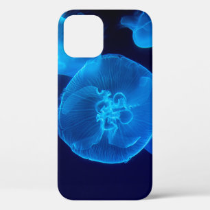 CLOSEUP PHOTOGRAPHY OF SWARM OF JELLYFISH iPhone 12 CASE