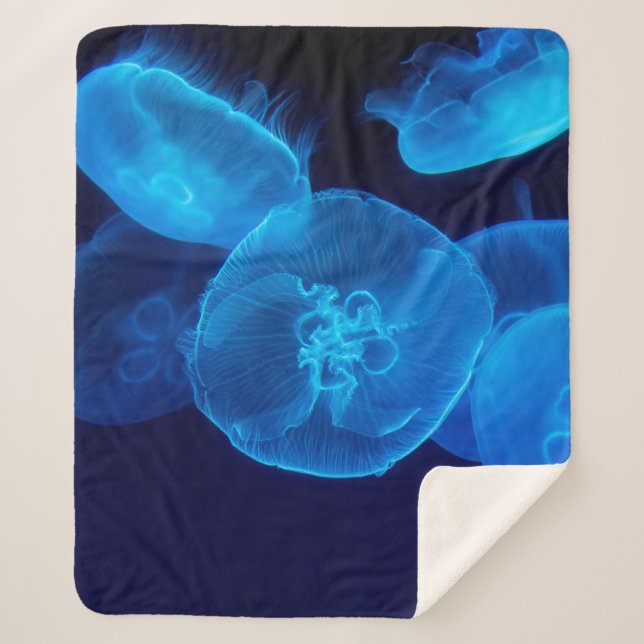 CLOSEUP PHOTOGRAPHY OF SWARM OF JELLYFISH SHERPA BLANKET (Front)