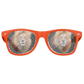 Closeup Portrait of a Male Lion Retro Sunglasses