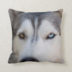 Closeup Stoic Gaze of an Alaskan Malamute Cushion