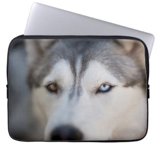 Closeup Stoic Gaze of an Alaskan Malamute Laptop Sleeve