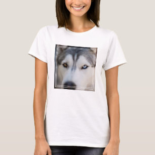 Closeup Stoic Gaze of an Alaskan Malamute T-Shirt