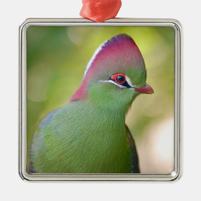 Closeup turaco of fischer metal ornament (Front)