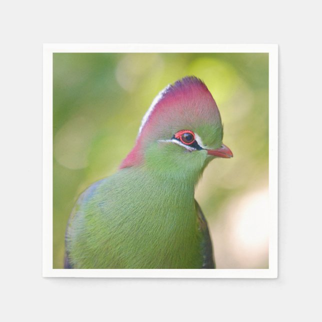 Closeup turaco of fischer napkin (Front)