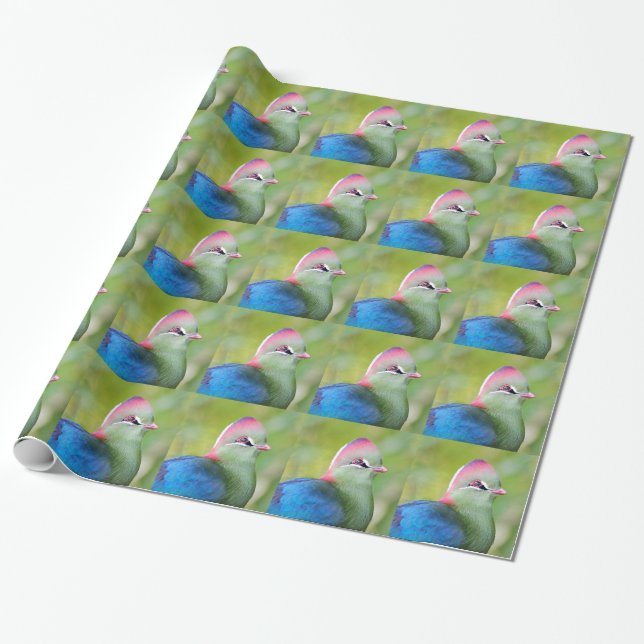 Closeup turaco of fischer wrapping paper (Unrolled)