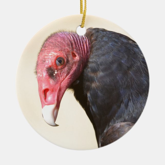Closeup turkey vulture ceramic ornament (Front)