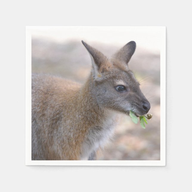 Closeup wallaby of Bennet   Napkin (Front)