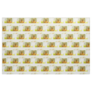 closeup yellow-white orchids fabric