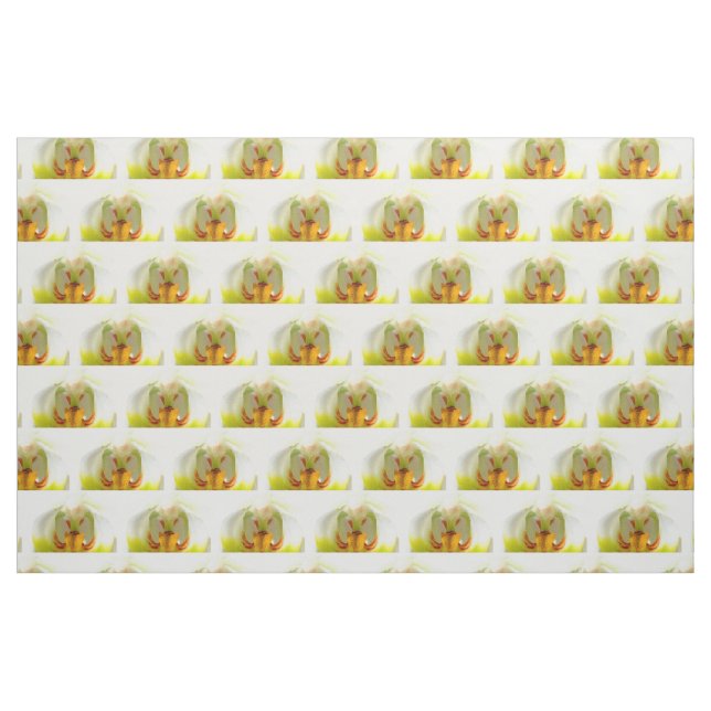 closeup yellow-white orchids fabric (Fat Quarter)
