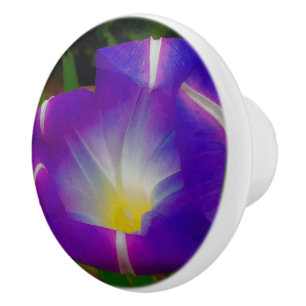 Closing Time for Morning Glories Ceramic Knob