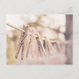 Clothespins on a Line Postcard