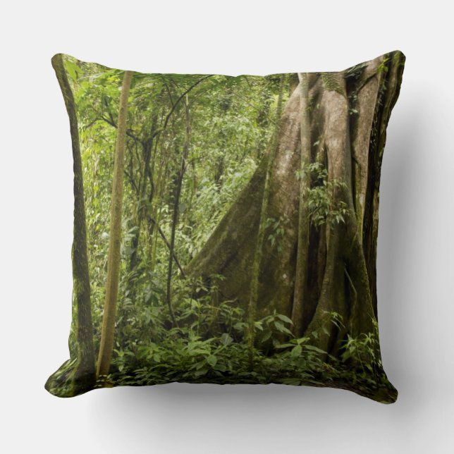 Cloud forest, Bosque de Paz, Costa Rica Cushion (Front)