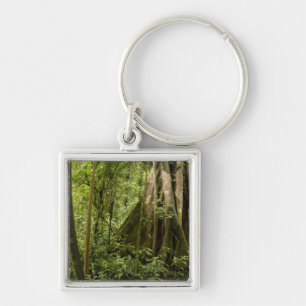 Cloud forest, Bosque de Paz, Costa Rica Key Ring