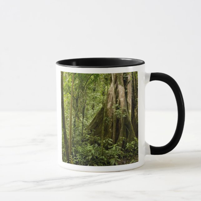 Cloud forest, Bosque de Paz, Costa Rica Mug (Right)