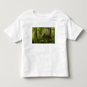 Cloud forest, Bosque de Paz, Costa Rica Toddler T-Shirt