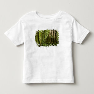 Cloud forest, Bosque de Paz, Costa Rica Toddler T-Shirt