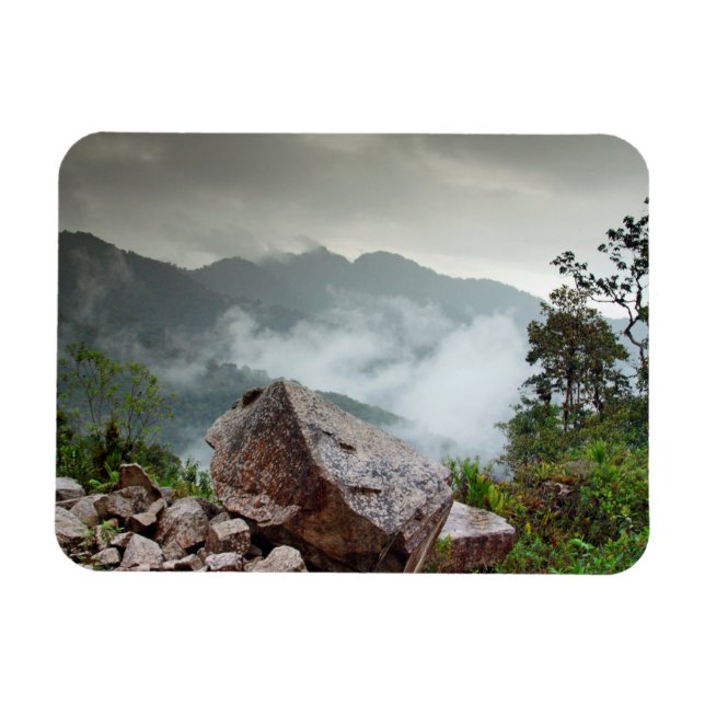 Cloud forest magnet (Horizontal)