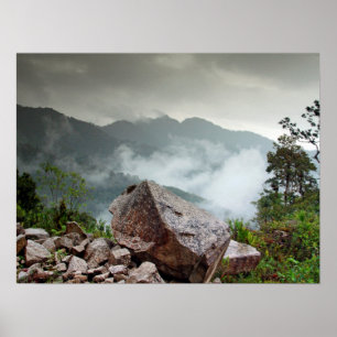 Cloud forest poster