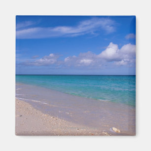 Cloud in blue sky over sandy beach magnet