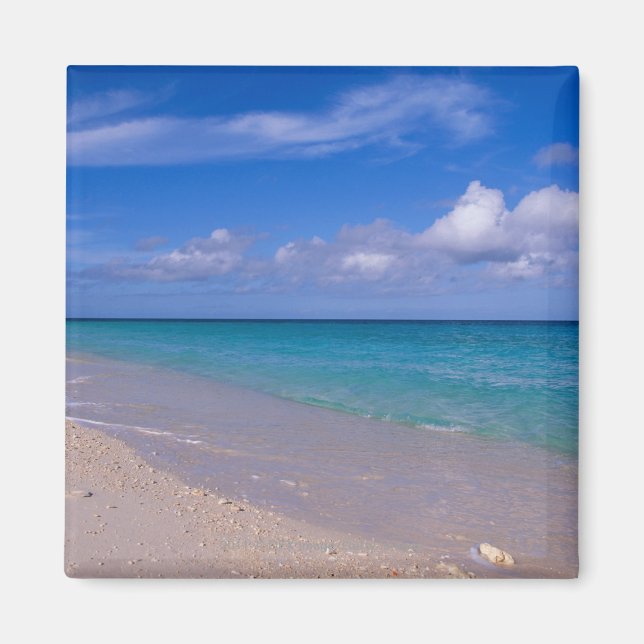 Cloud in blue sky over sandy beach magnet (Front)