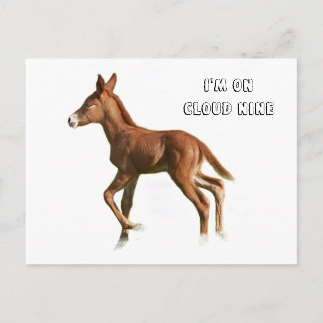 Cloud Nine Postcard (Front)