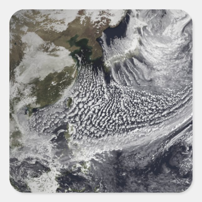 Cloud simulation of a single day 4 square sticker (Front)