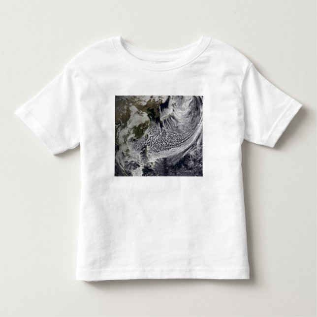 Cloud simulation of a single day 4 toddler T-Shirt (Front)