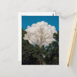 Cloud Tree Flat Card