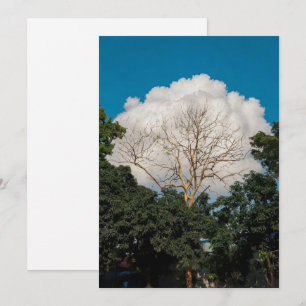 Cloud Tree Flat Card