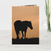 Cloud Walks at Sunset Wild Horse Greeting Card