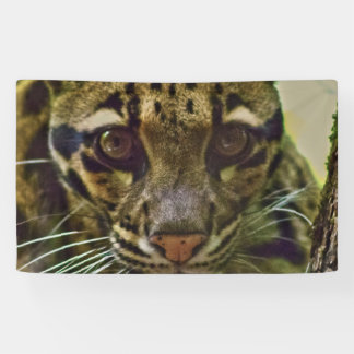 Clouded Leopard Banner
