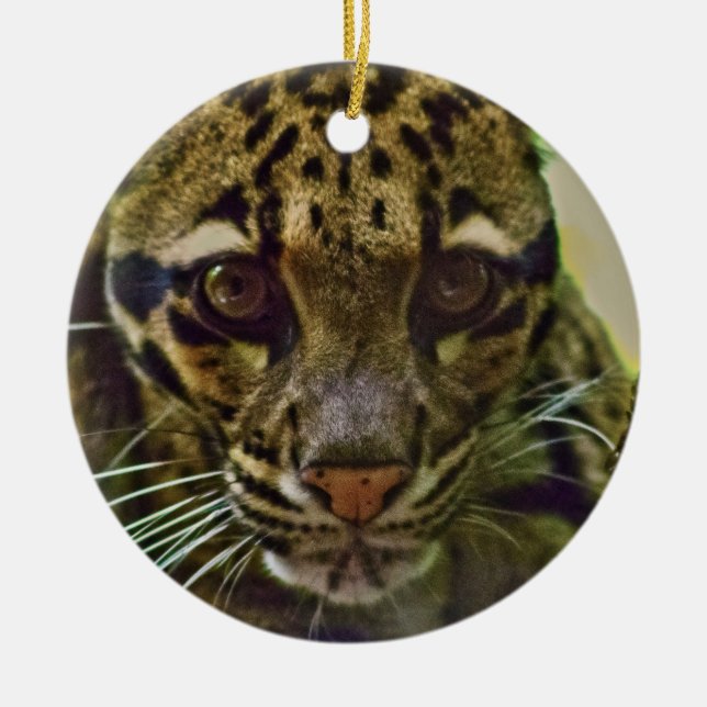 Clouded Leopard Ceramic Ornament (Front)